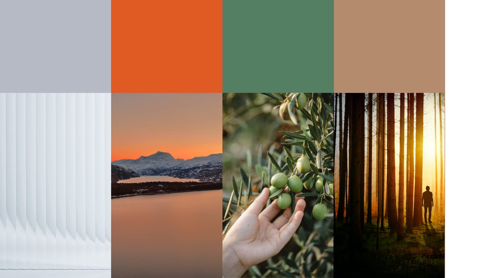 奥一眼镜